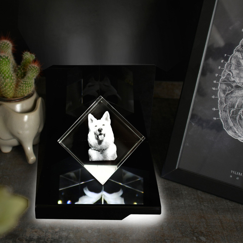 Socle lumineux Maestro pour Precious M et Kelo 3D vertical
