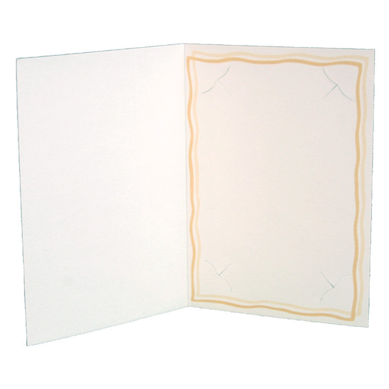 Lot de 70 cartonnages photo 15x23 Trio orange