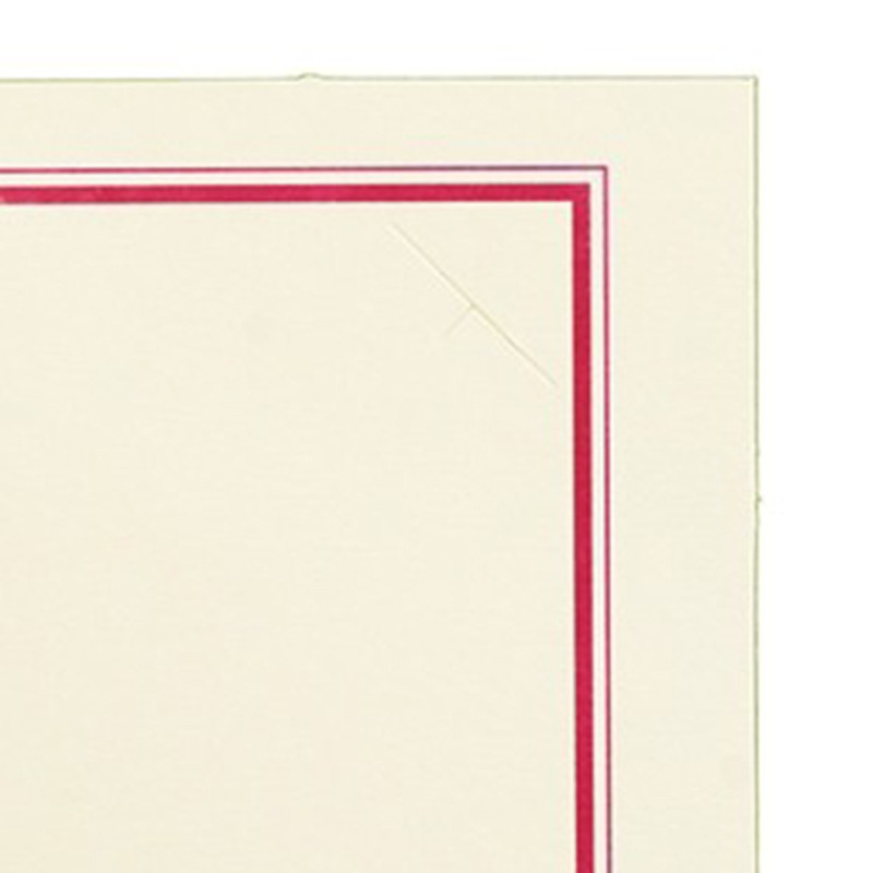 Lot de 150 cartonnages photo ivoire - Rajo 20x30