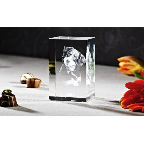 Cube 3D Nano V (1-2 personnes)